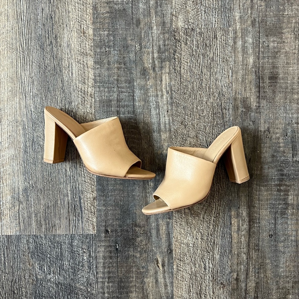 Vince Mules, size 6